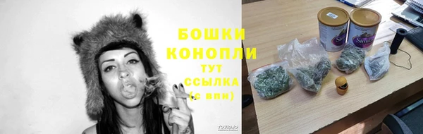 стафф Покровск