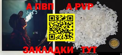 стафф Берёзовский