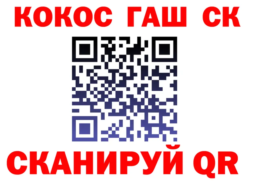 Альфа ПВП СК КРИС ссылки площадка KRAKEN Ейск