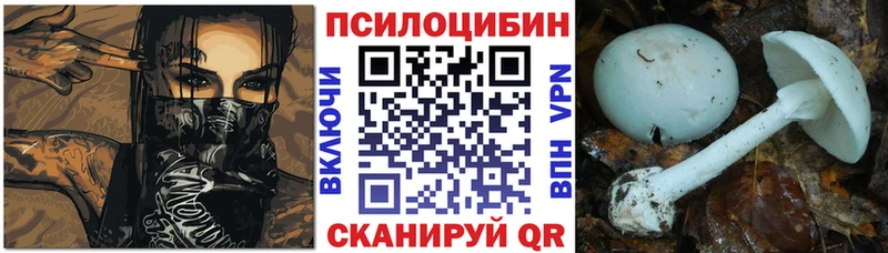 где можно купить   Ейск  Псилоцибиновые грибы прущие грибы 