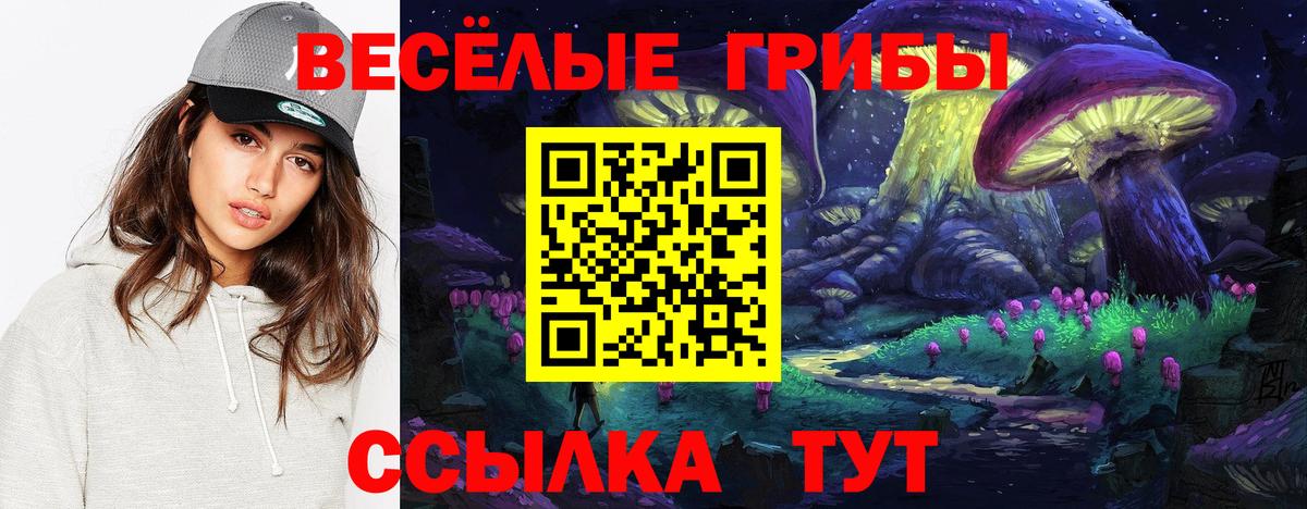 Ейск  Псилоцибиновые грибы Cubensis  Вход с VPN 