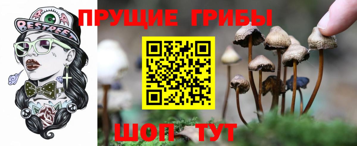Галлюциногенные грибы прущие грибы Ейск